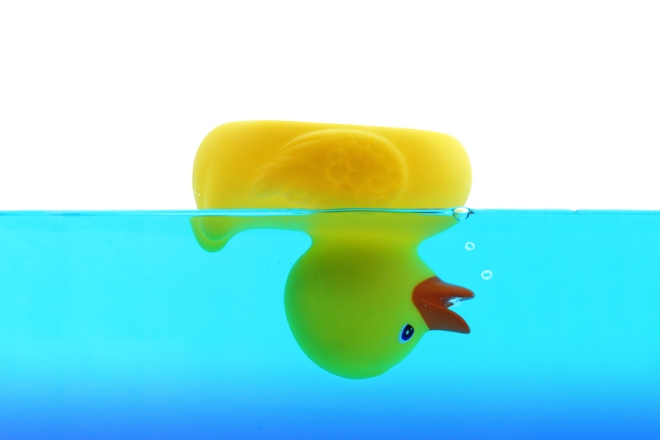Drowning duck in blue water